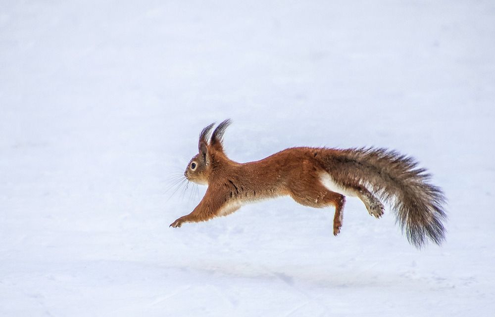 Photograph by Дмитрий Коновалов