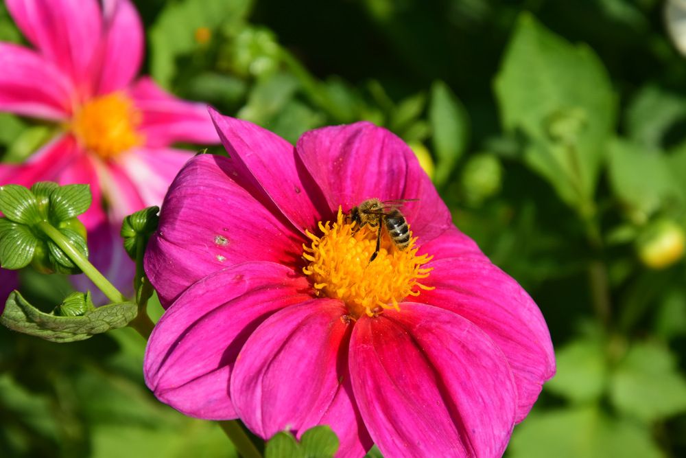 Photograph by Ирина Федичева