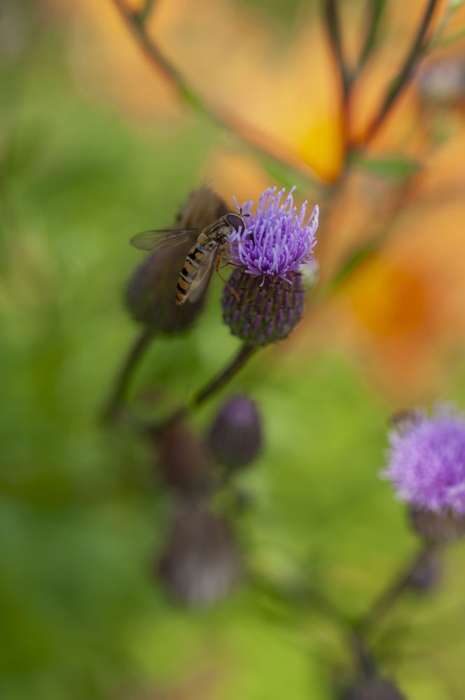 Photograph by Наталья Сергеевна Крылова