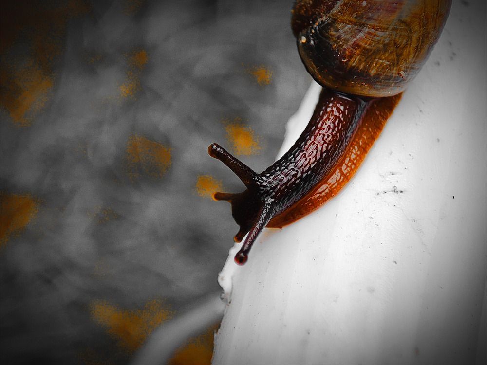 Photograph by Дмитрий Коновалов