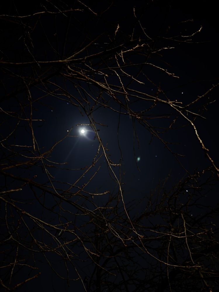 Photograph by Виктория Куликова