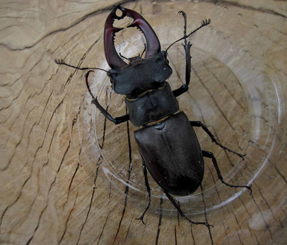 Photograph by Viktoriia Rusanova