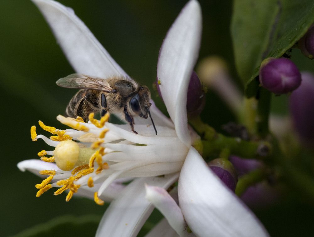 Photograph by Geo Lib