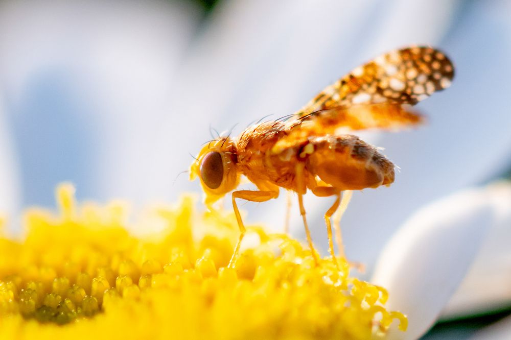 Photograph by Андрей Зуев