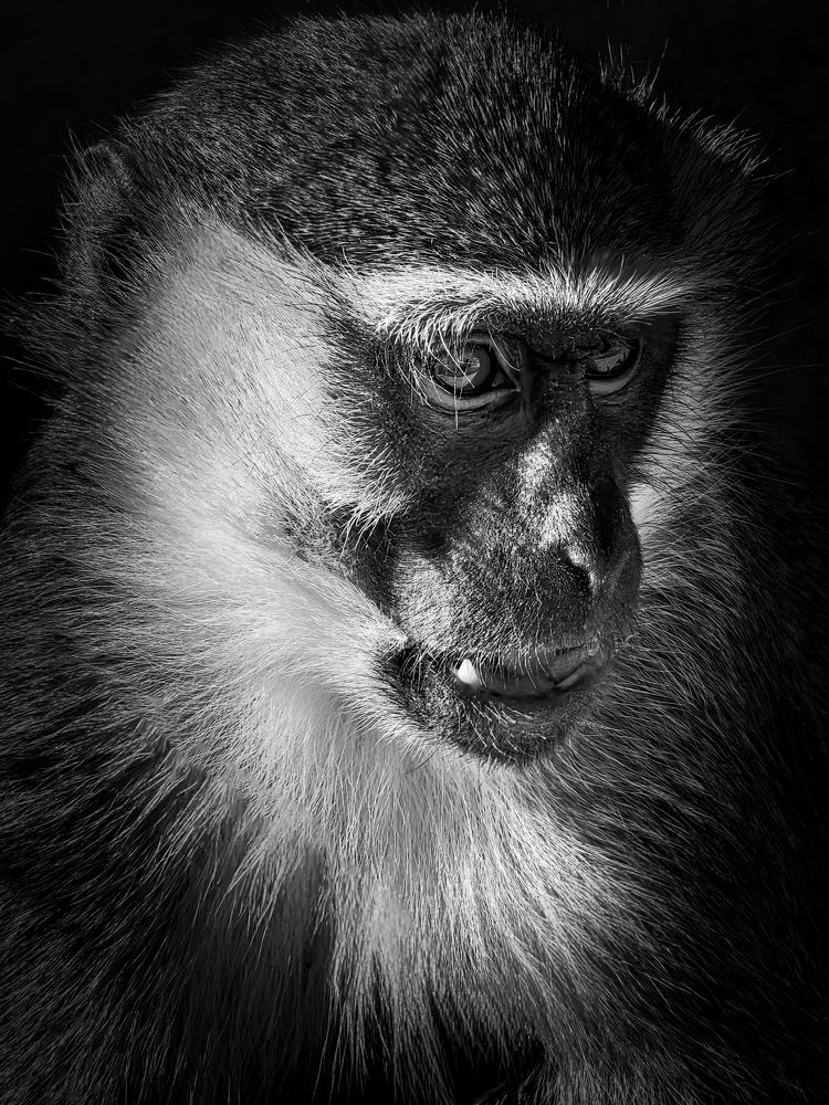 Photograph by Abbas Rayan Benhorma