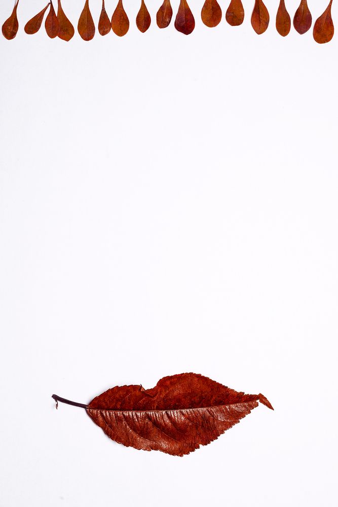 Photograph by Kveta Novotna