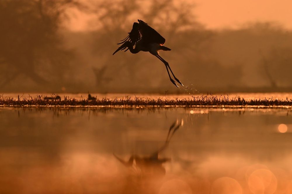 Photograph by Olga Ольга Joshi Джоши