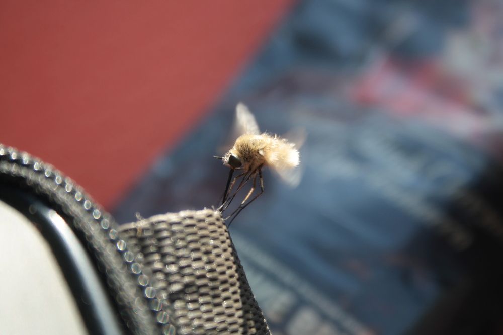 Photograph by Павел Швецов