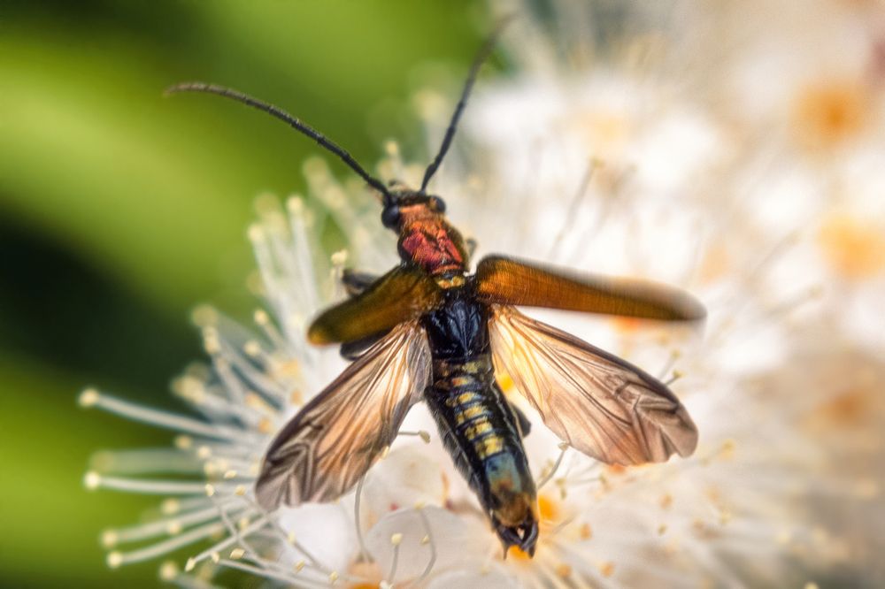 Photograph by Дмитрий Огольцов