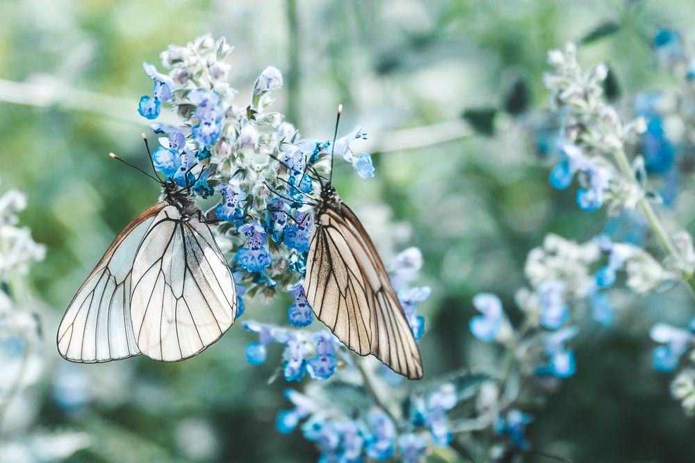 Photograph by Анна Ангел