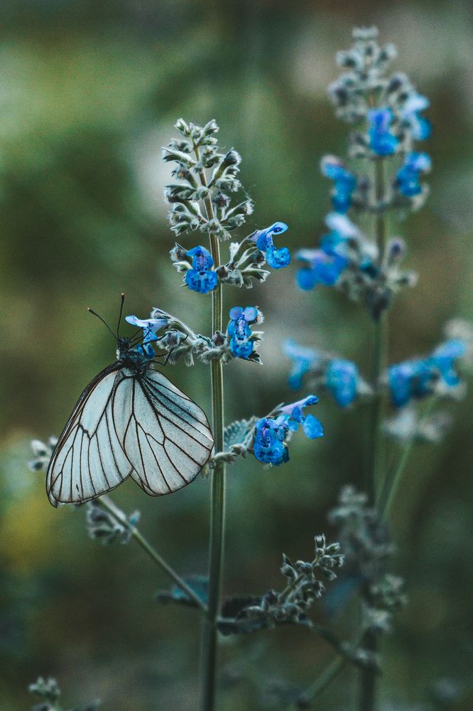 Photograph by Анна Ангел