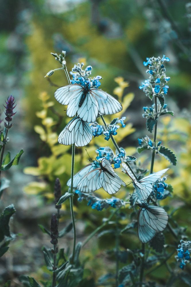 Photograph by Анна Ангел