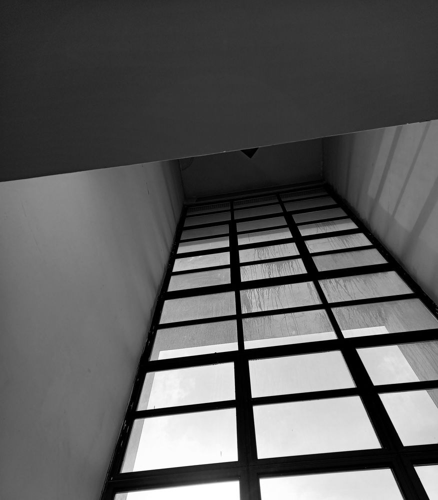 Photo #12069576