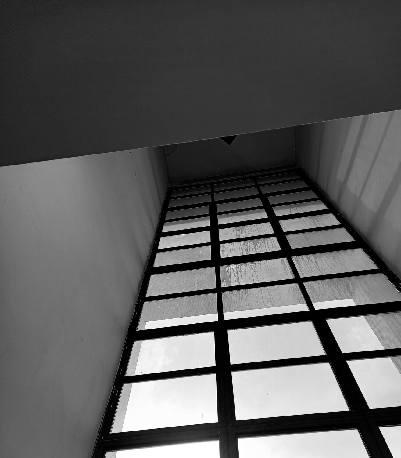 Photo #12069576