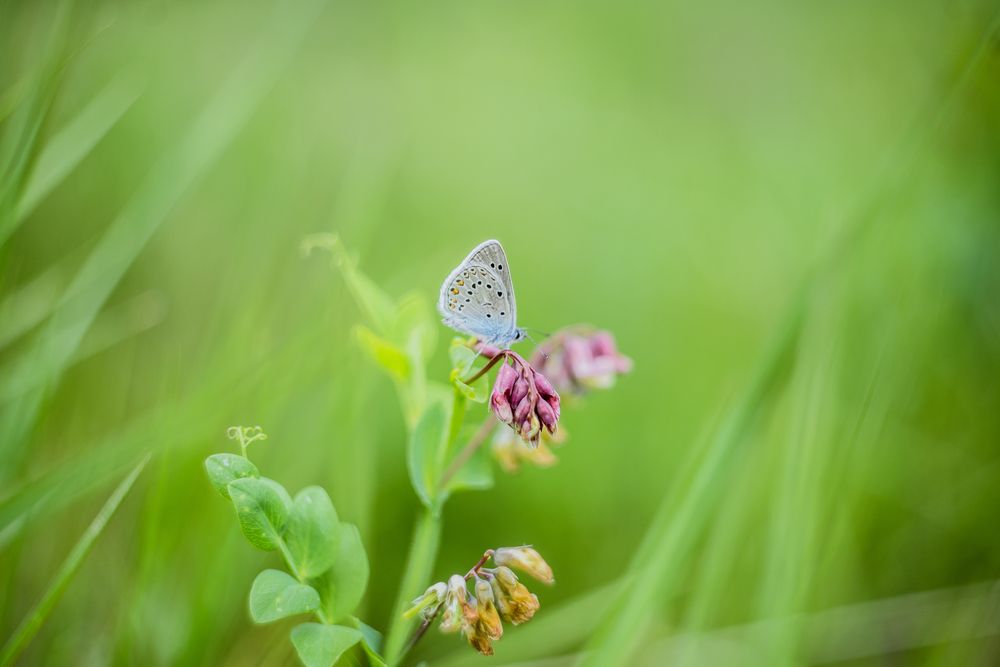 Photograph by Наталья Лещинская