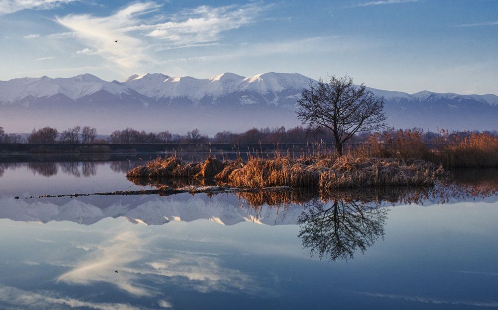 Photograph by Adrian Adi Gli