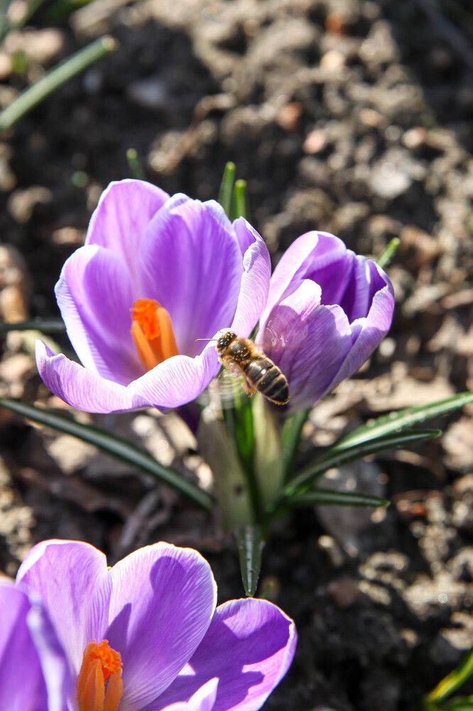 Photograph by Artiom Sechovcov