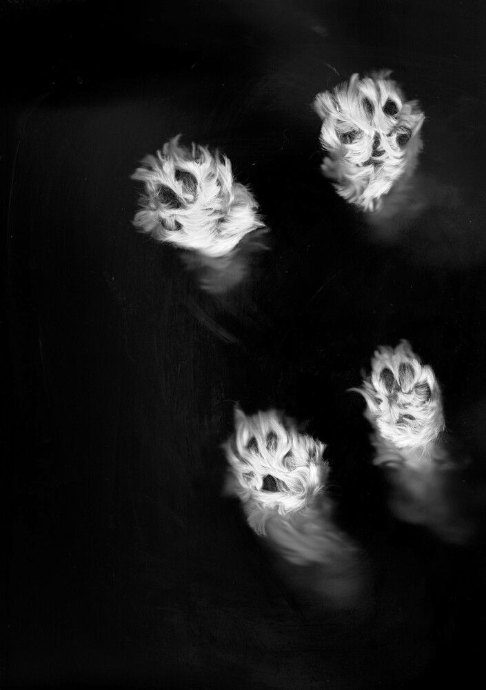 Photograph by Мария Пятова