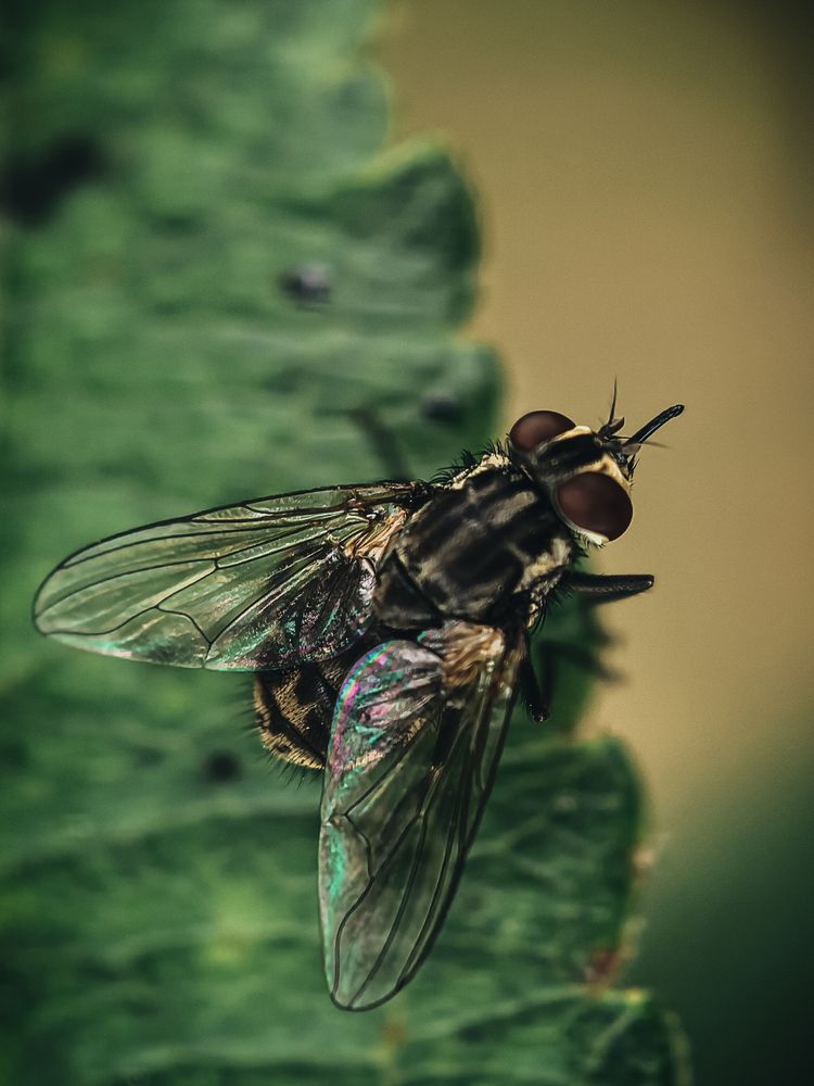 Photograph by Алеся Садченко