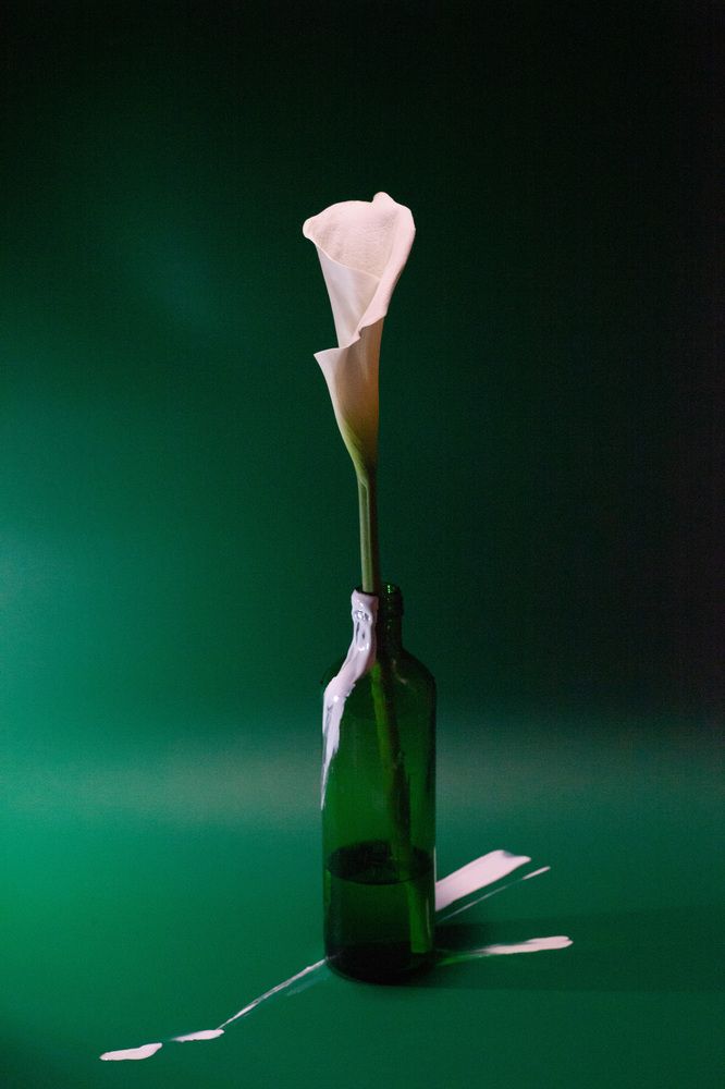 Photograph by Анна Брагина