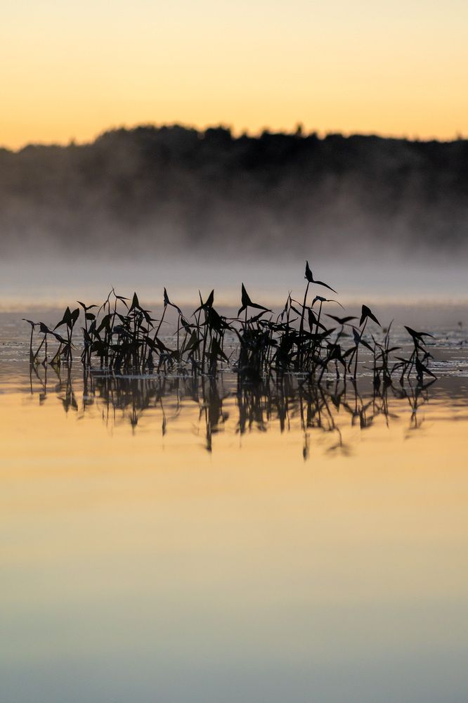 Photograph by Борисов Марат