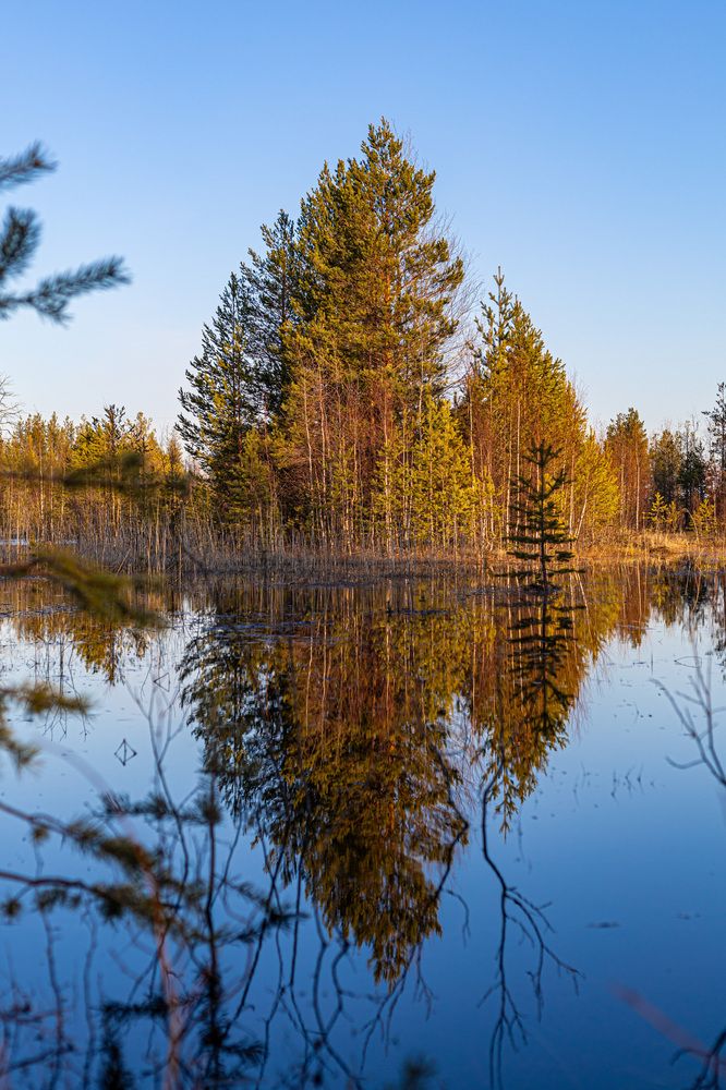 Photograph by Борисов Марат