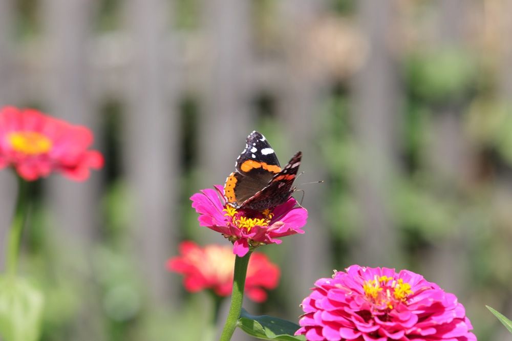 Photograph by Nataliia Nedelina