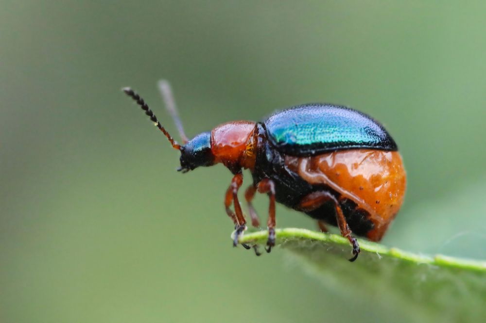 Photograph by Nataliia Nedelina