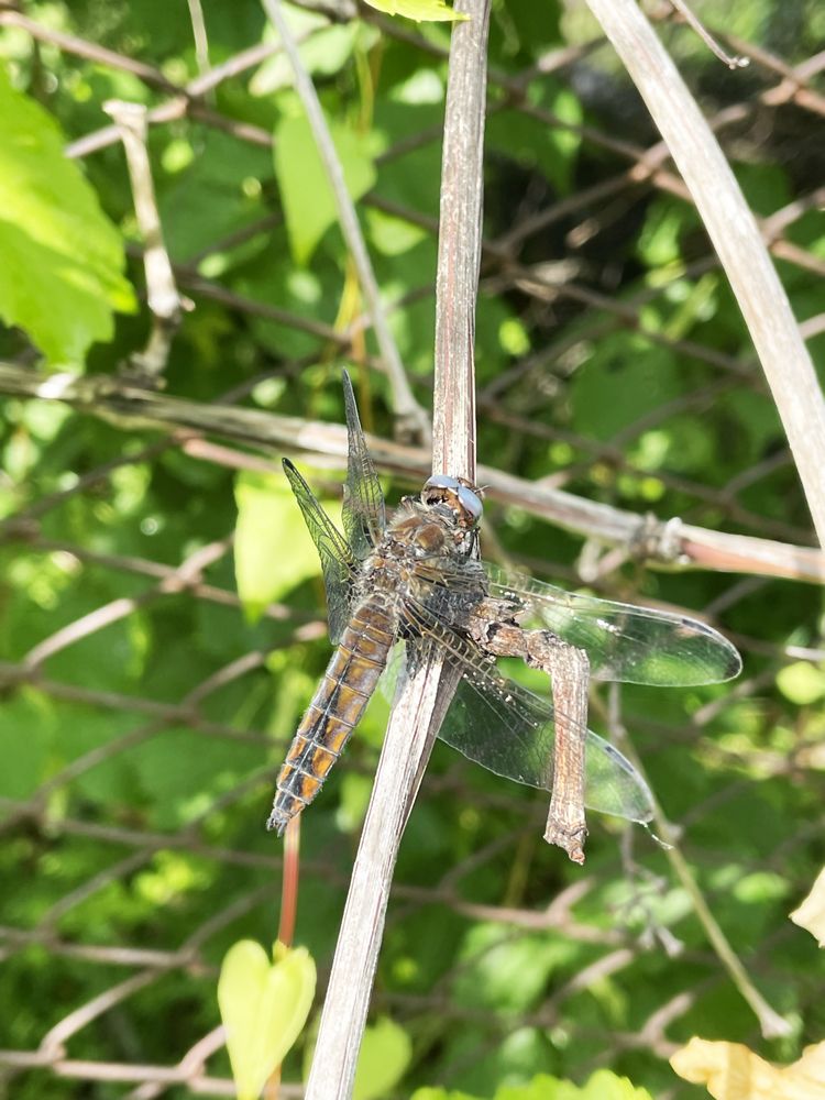 Photograph by Nataliia Nedelina