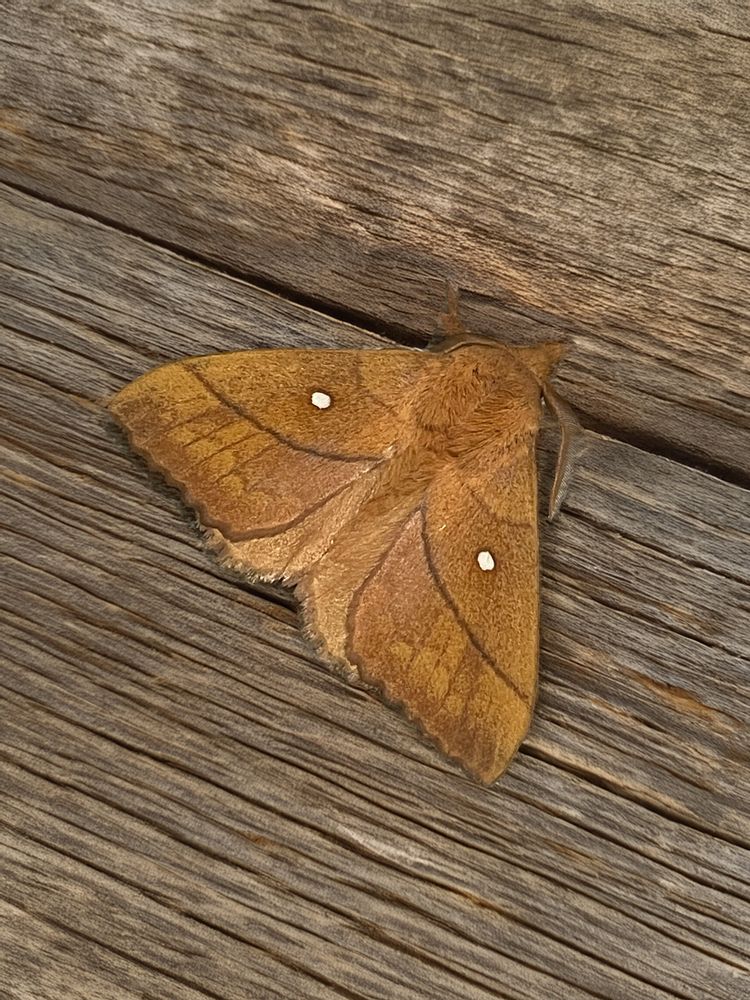 Photograph by Nataliia Nedelina