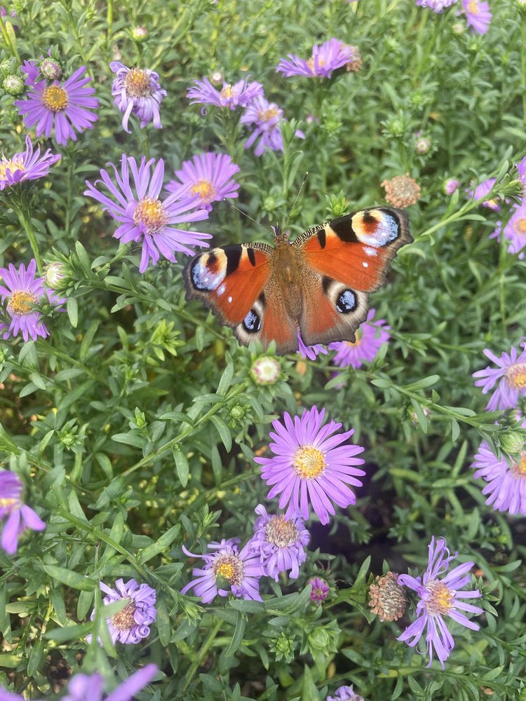 Photograph by Nataliia Nedelina