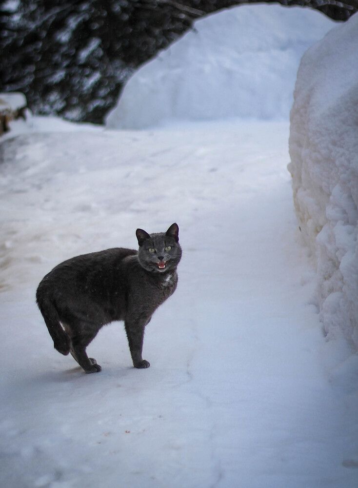 Photograph by Любовь Иванова