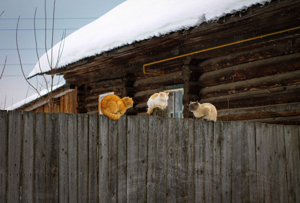 Photograph by Любовь Иванова