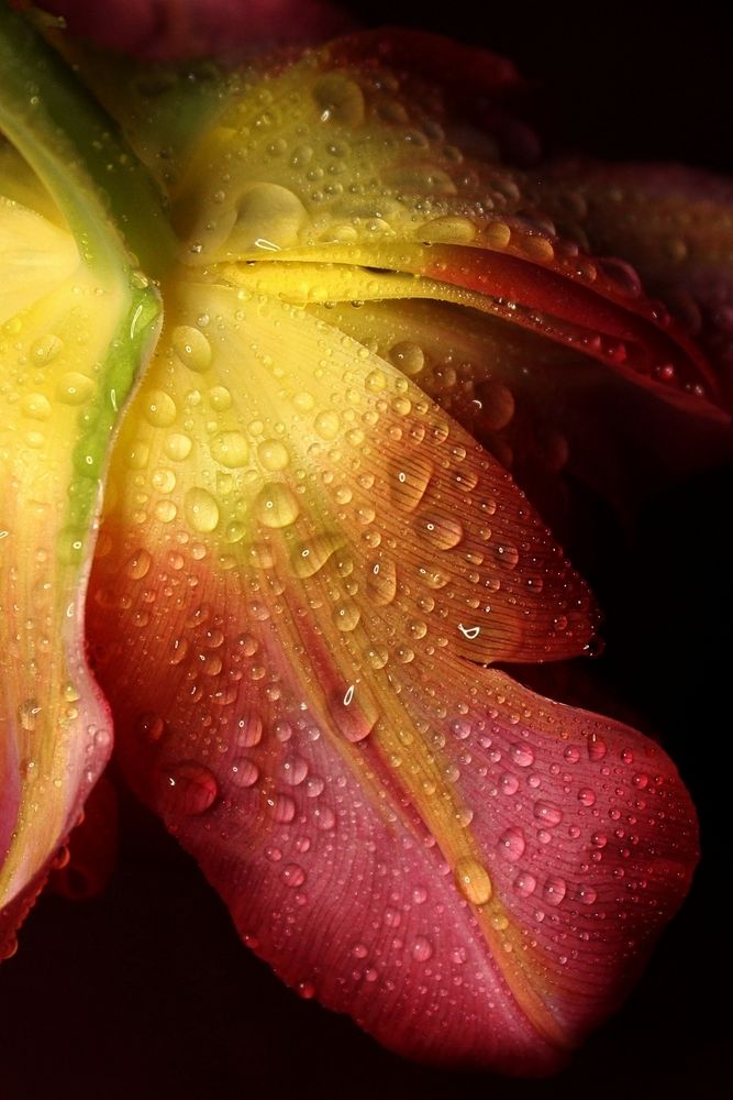 Photograph by Татьяна Сычёва