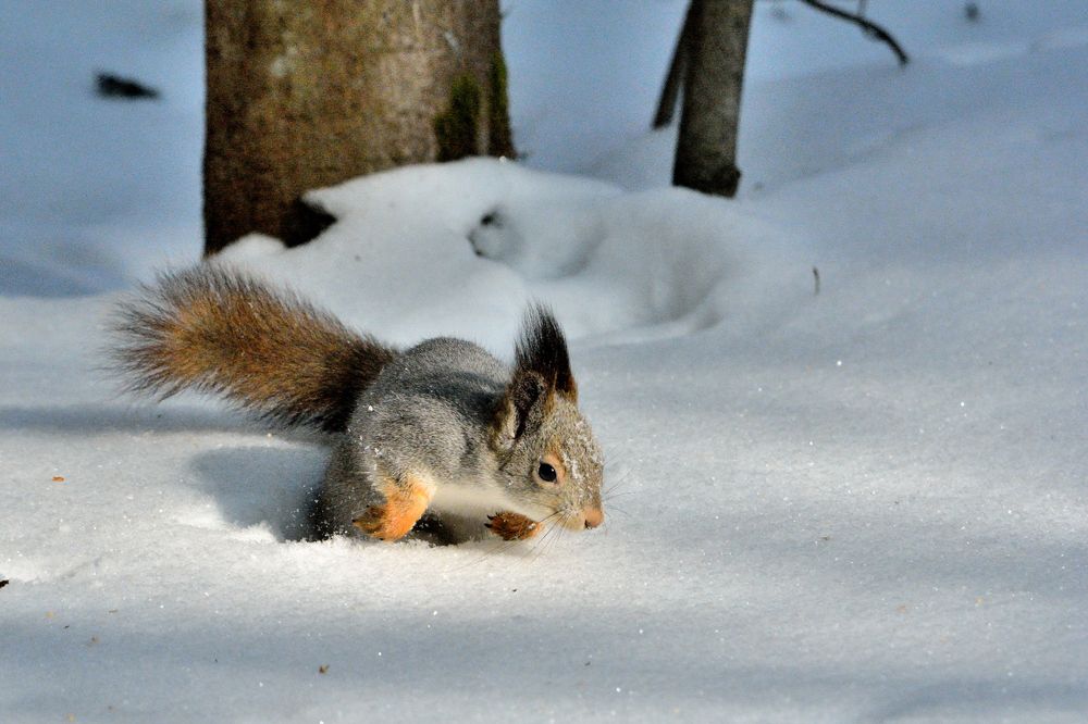 Photograph by Александр Зуев