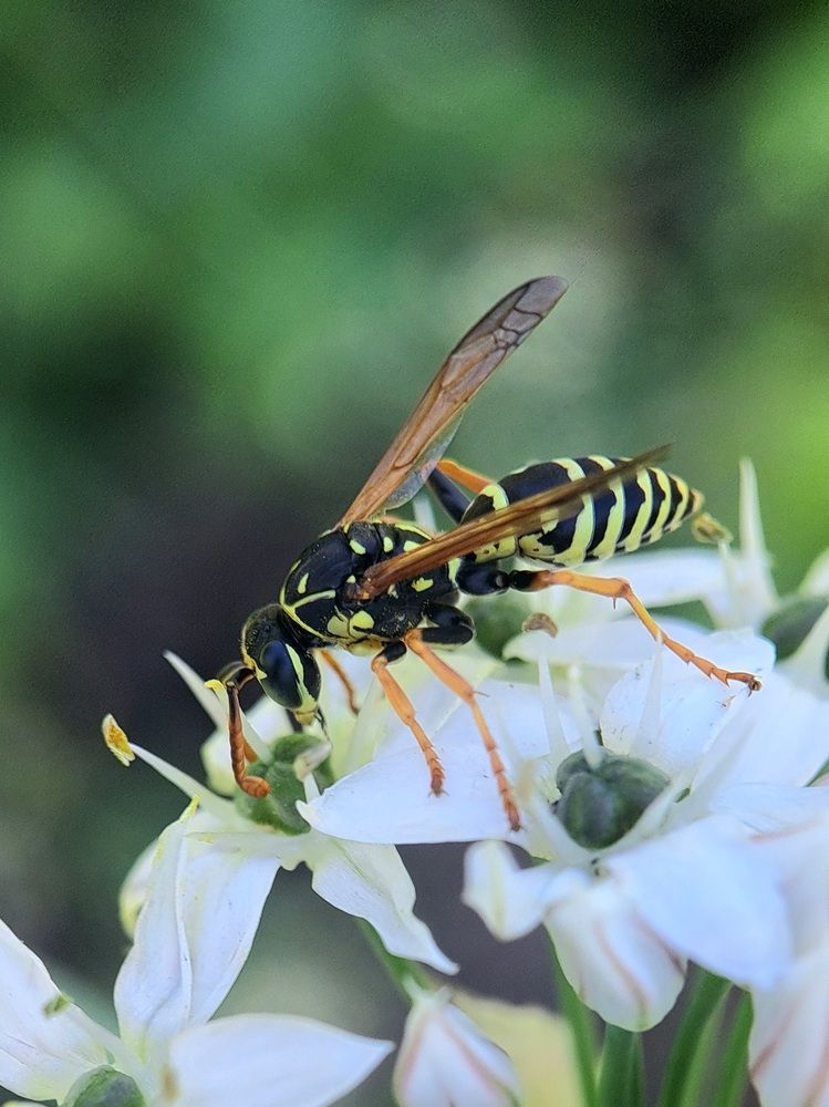 Photograph by Любовь Войтишина