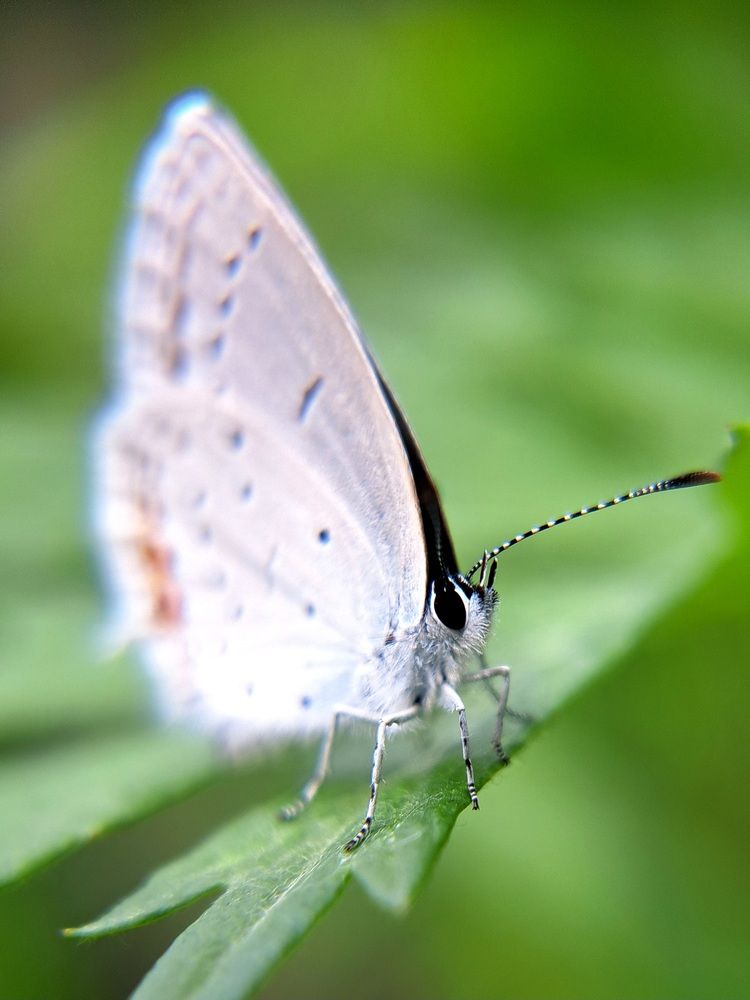 Photograph by Любовь Войтишина