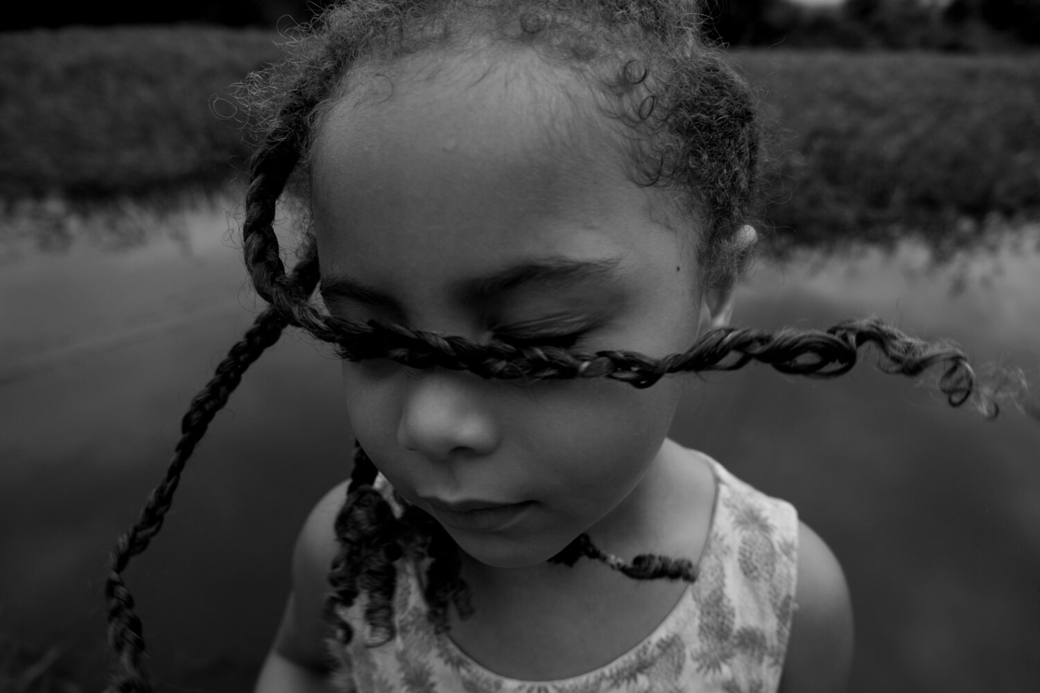 Photo #12070264