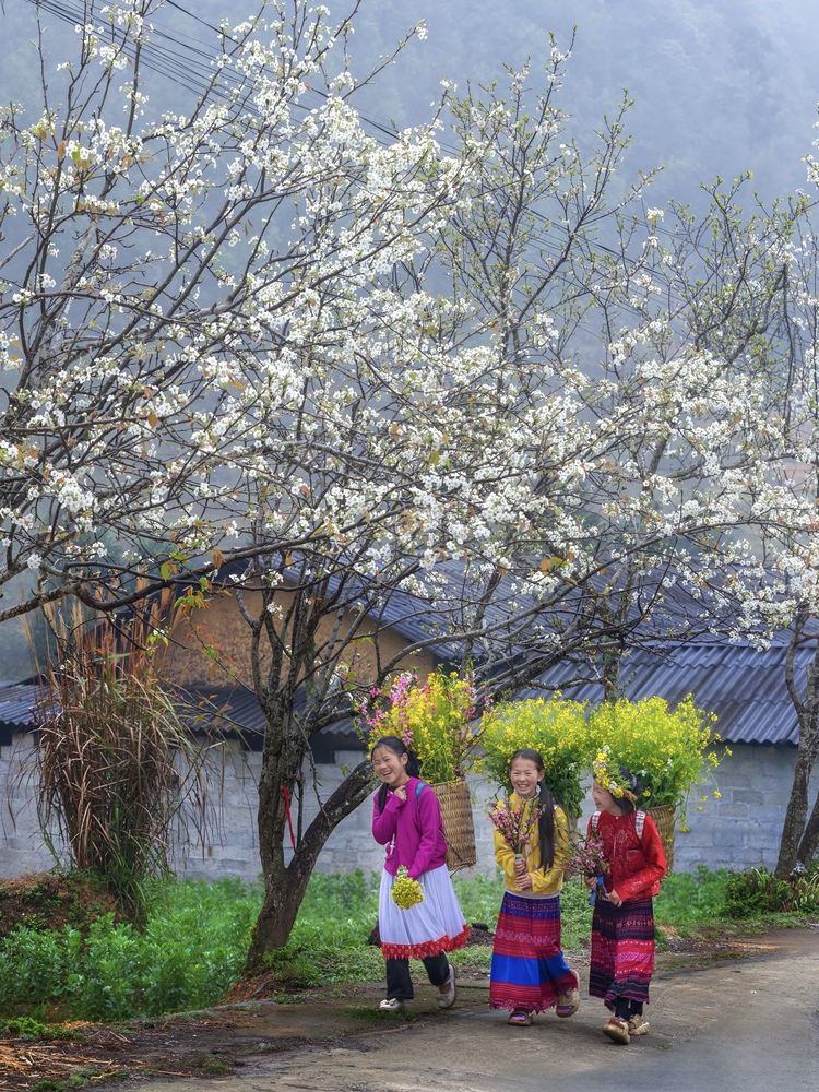 Фотография автора Viet Nguyen Ho