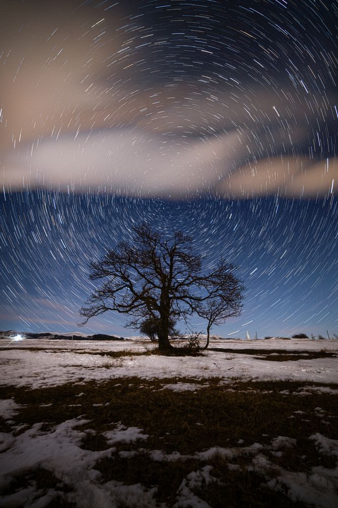 Photograph by Saba Gloveli