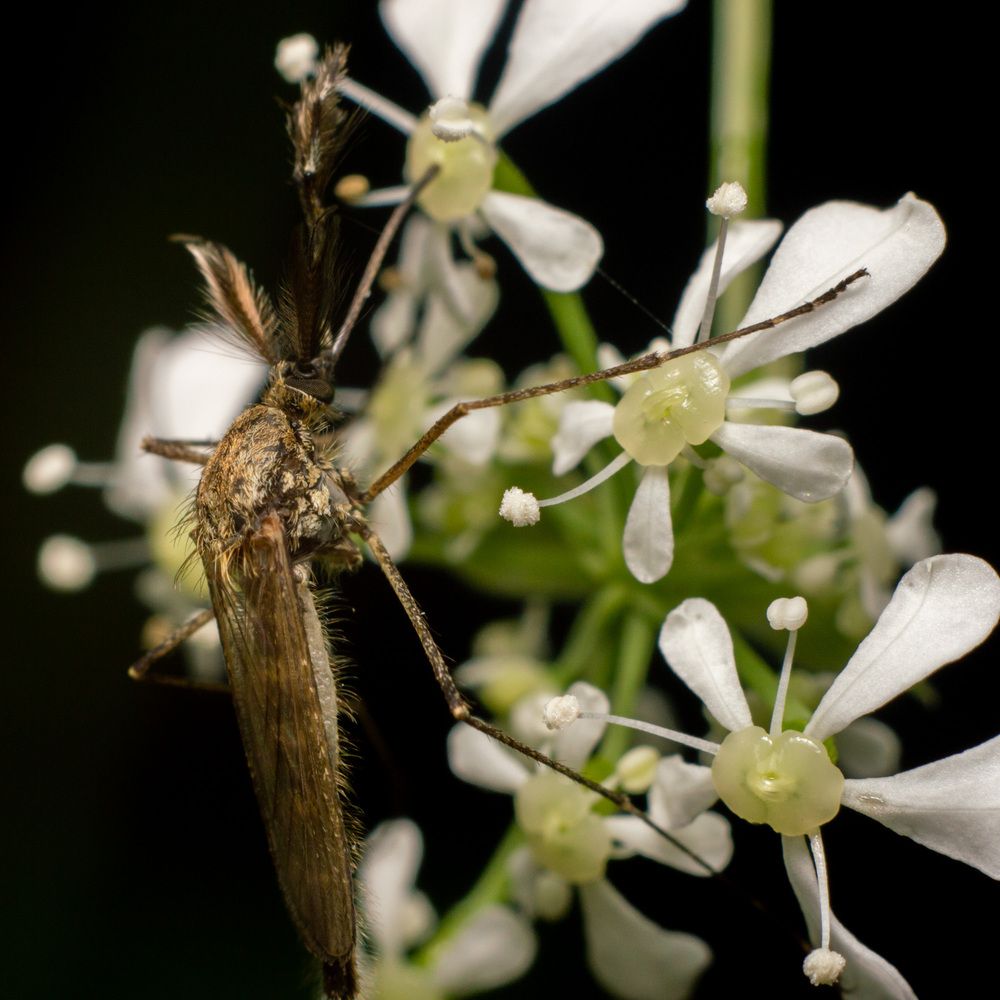 Photograph by Мамсур