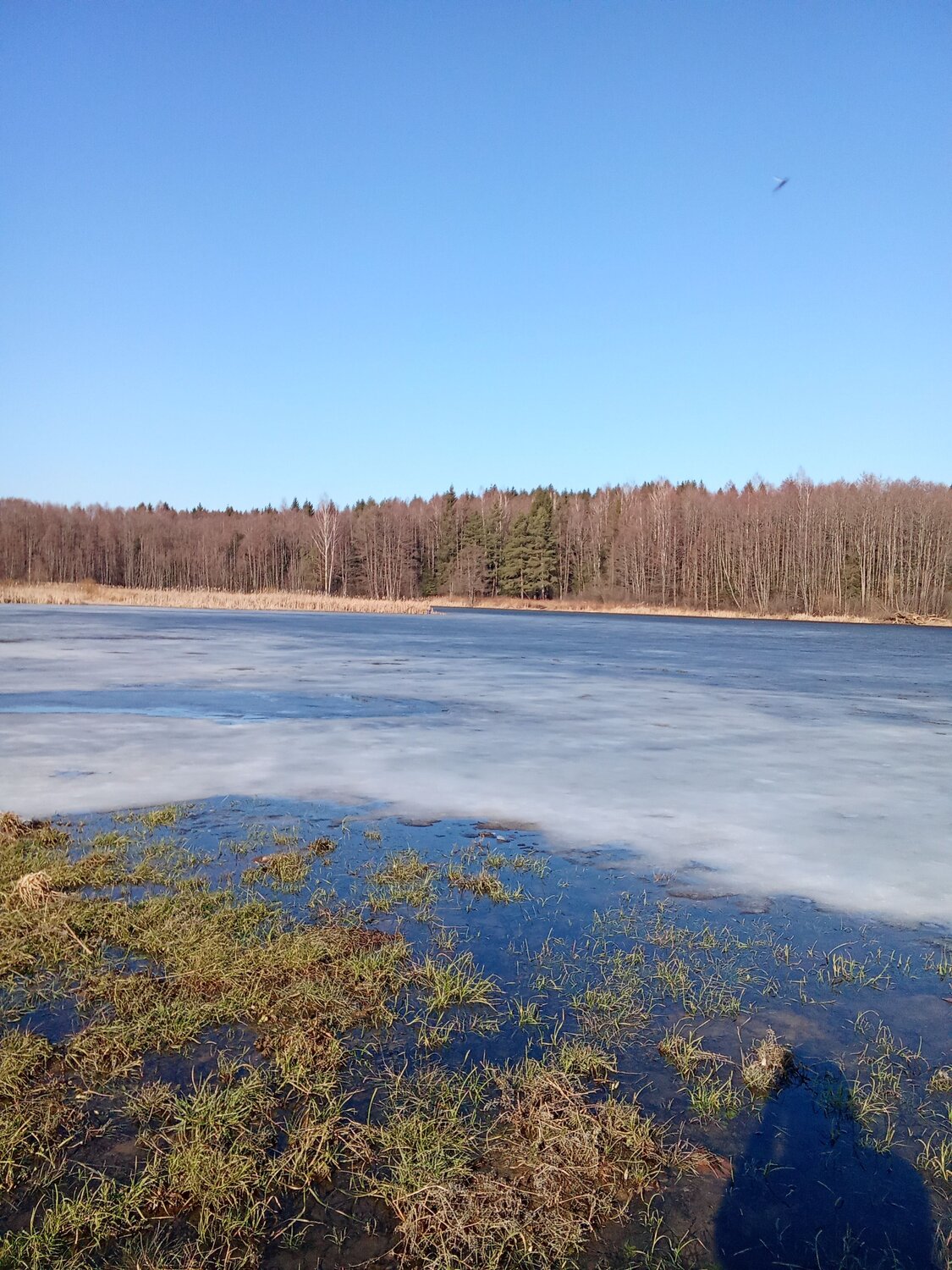 Photo #12070526