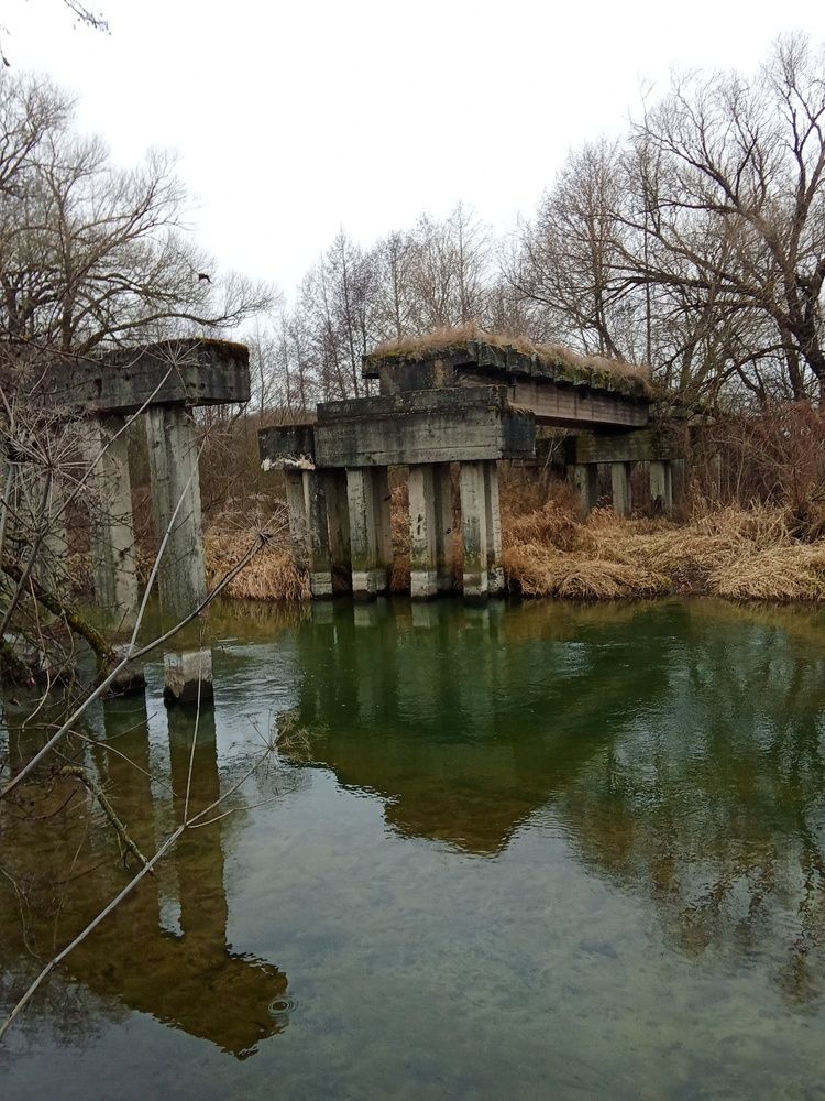 Photo #12070532