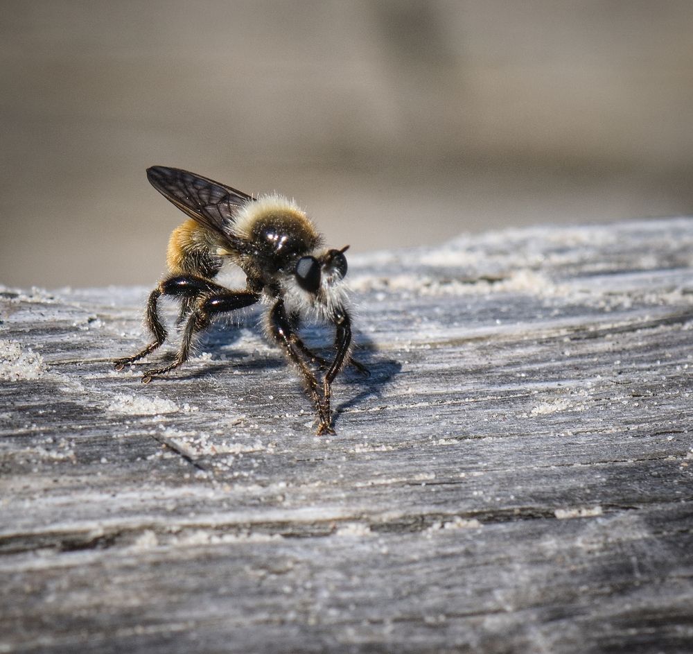 Photograph by Aleksandra Bistrova