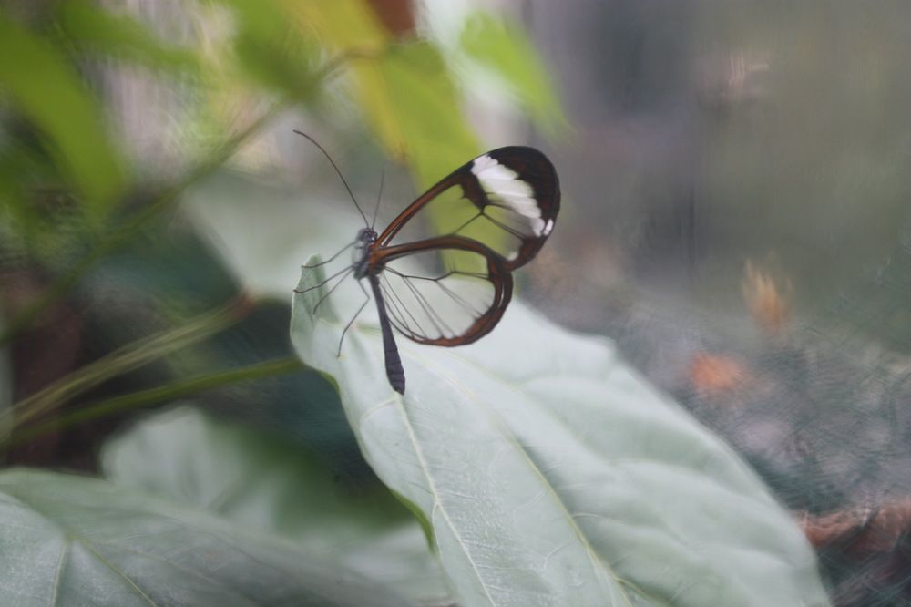 Photograph by Luisa manzano