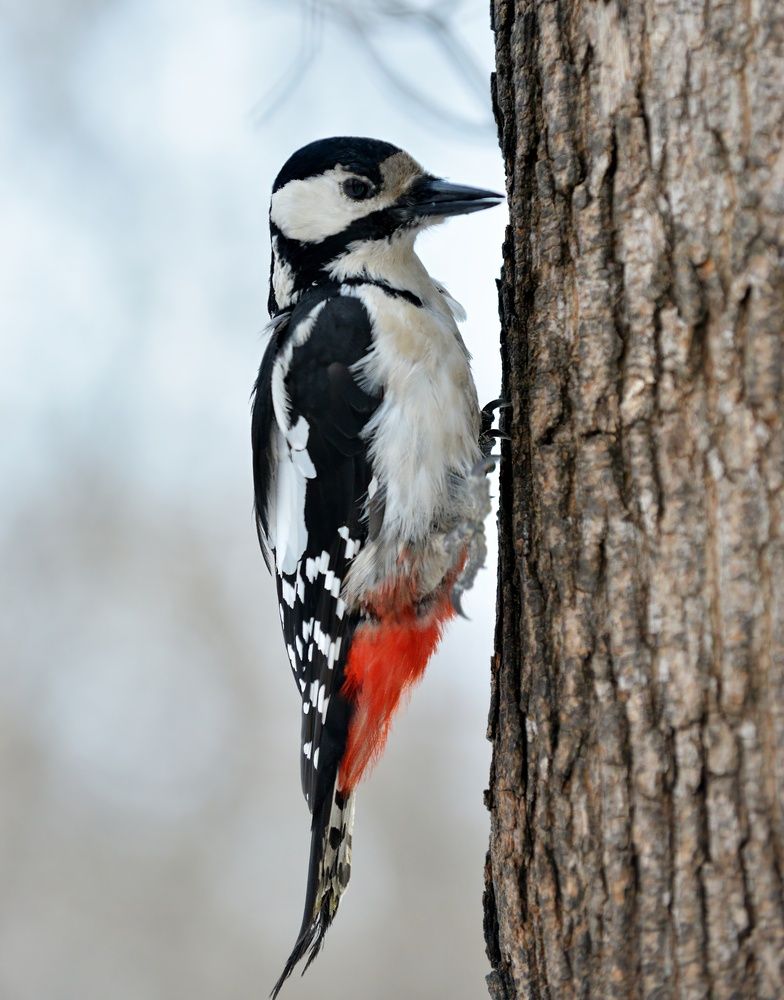 Photograph by Алексей Volg