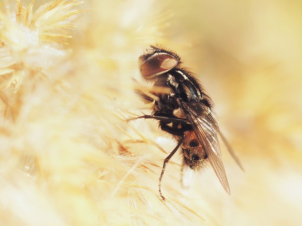 Photograph by Маргарита Смоленская