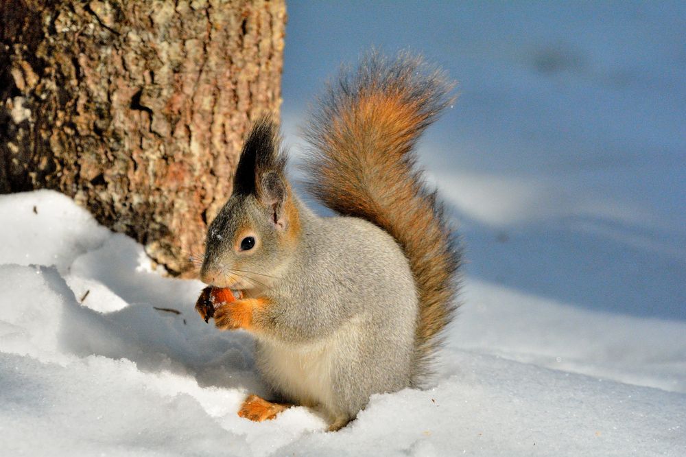 Photograph by Александр Зуев