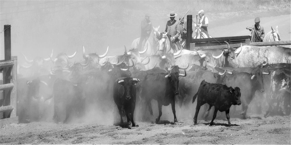 Photograph by Jose Manuel Maiquez