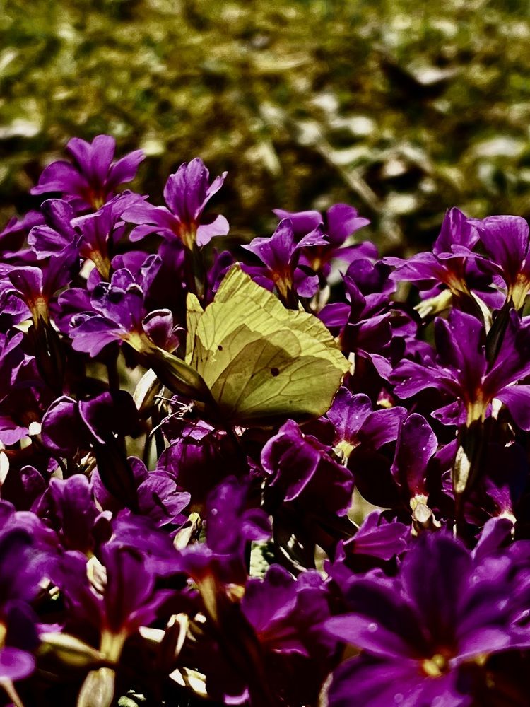 Photograph by Алла Кочергина